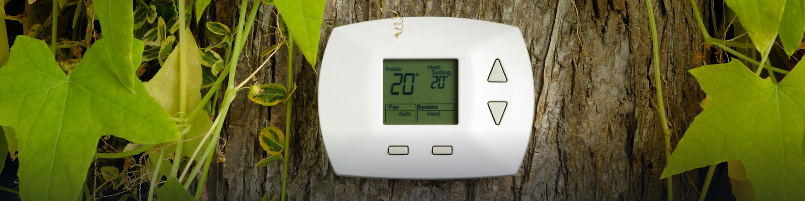 There is a white Trane thermostat posted on a dark tree trunk with green leaves.