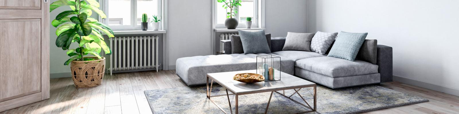 Modern living room with comfortable gray couch, glass coffee table, and green houseplant.