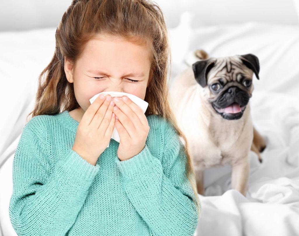 Little girl blowing nose on bed with dog