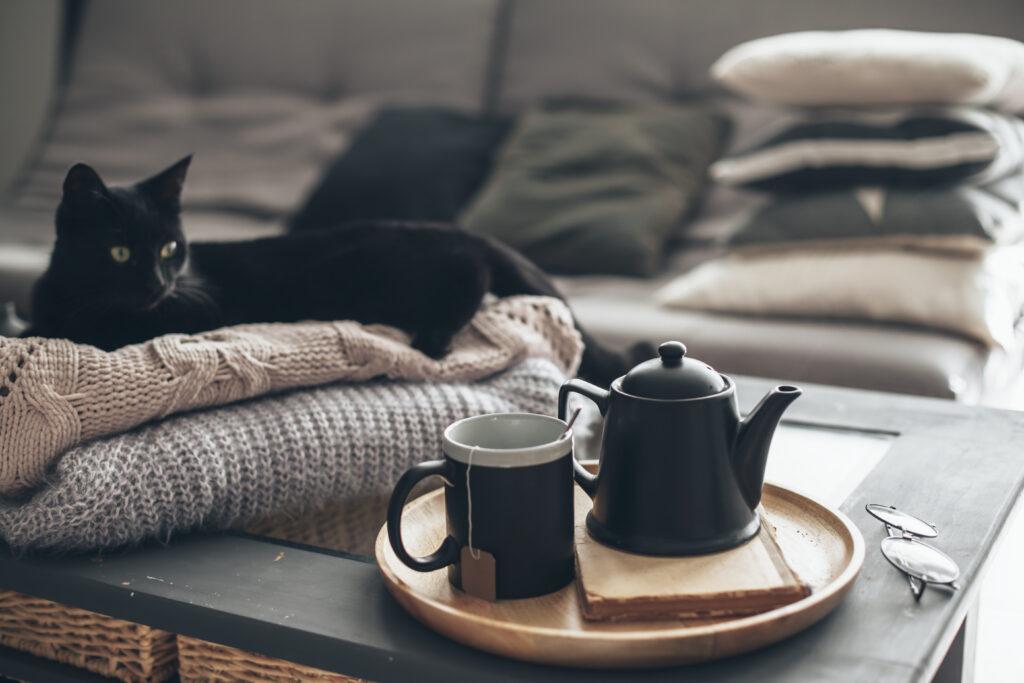 Black cat lays on top of two wool blankets staring at a black teapot and mug.