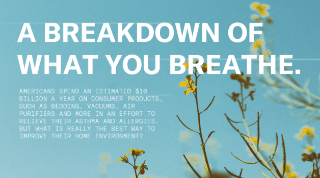 Infographic with text &quot;A breakdown of what you breathe.&quot;