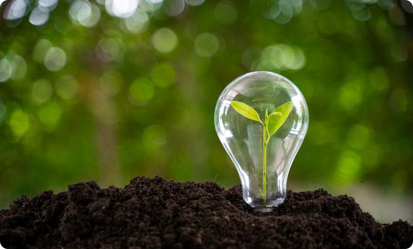 A lightbulb containing a green plant.