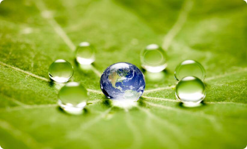 Raindrops on a green leaf.