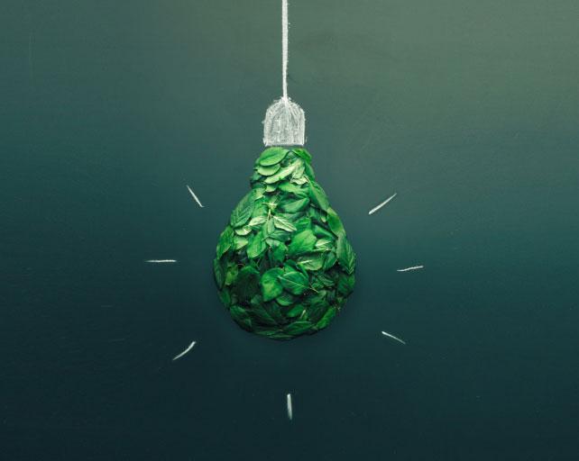 A green paper light bulb sculpture hangs in front of a dark green wall.