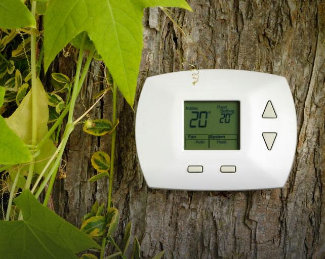 There is a white Trane thermostat posted on a dark tree trunk with green leaves.