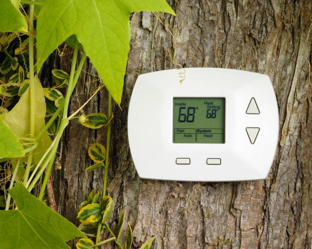 A white home thermostat is attached to a tree trunk.
