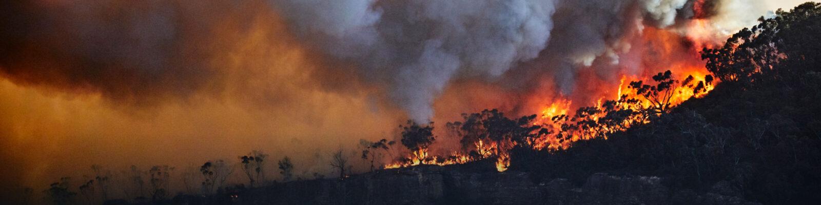 wildfire smoke and the importance of protecting your air quality