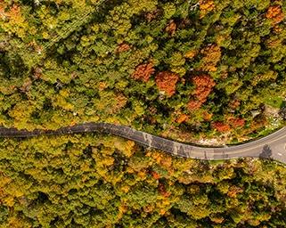 How to Reduce Your Carbon Footprint