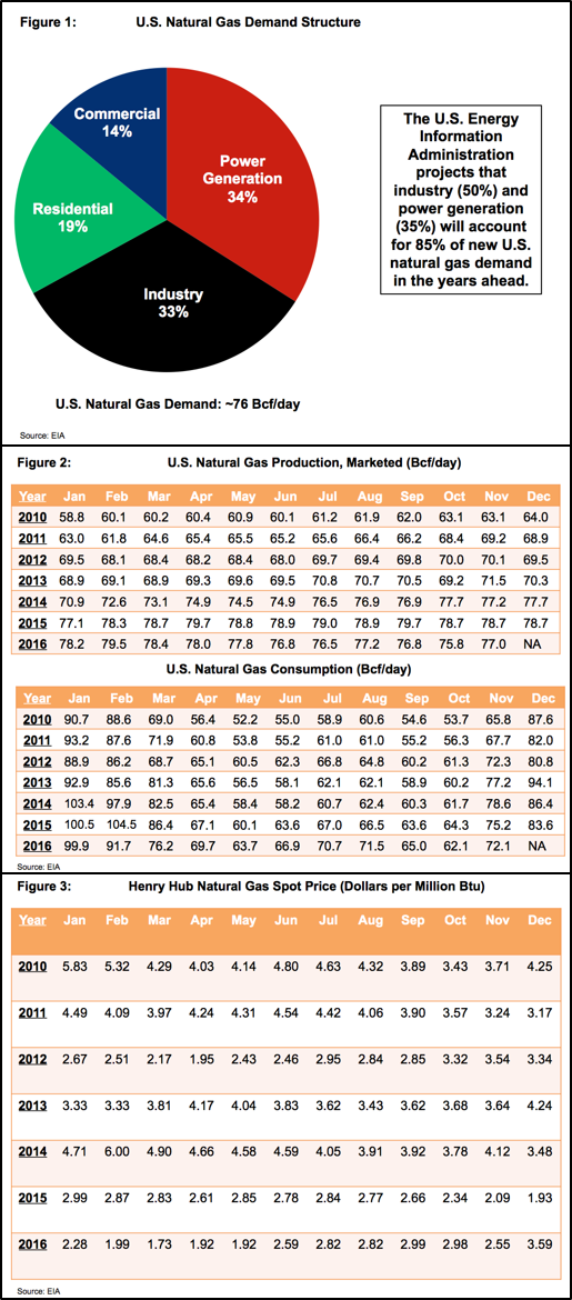 U.S. Natural Gas Demand Structure