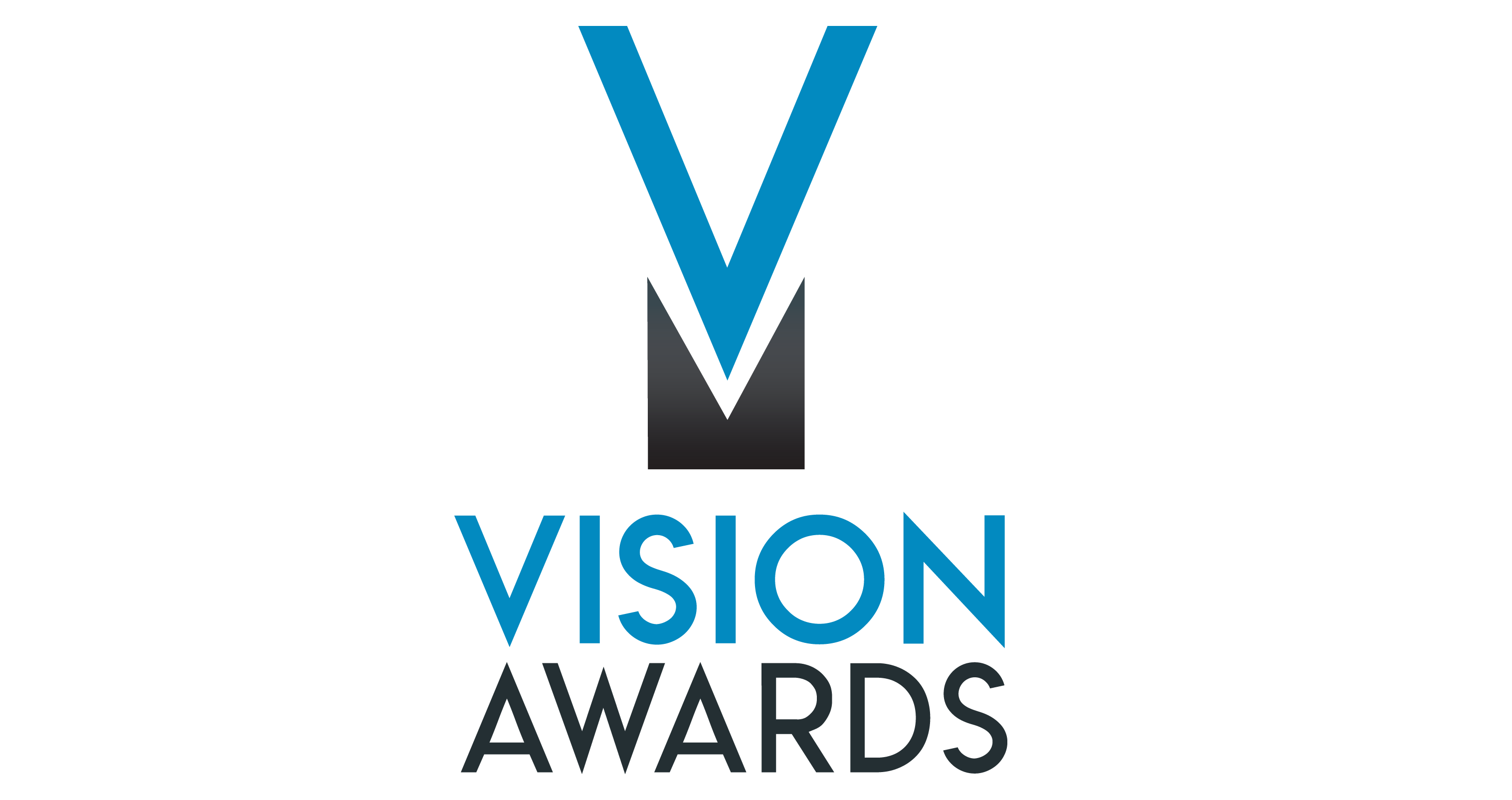 Vision Awards