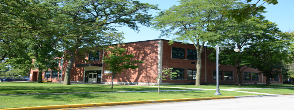 Cook County School District