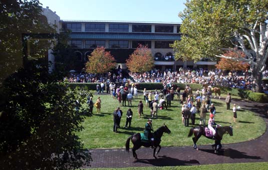 Keeneland-Page.jpg