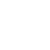 Firewall-Icon-White.png