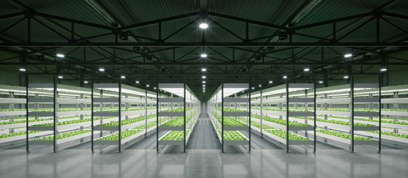 [Blog]: How Trane can help indoor growers optimize operations and reduce energy costs