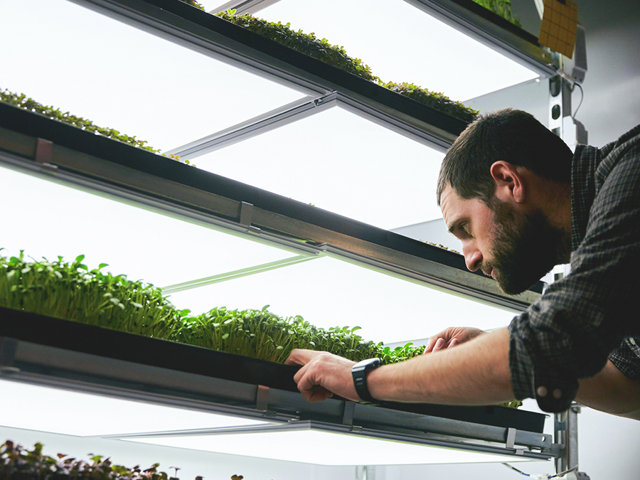 [Blog]: 6 ways for indoor agriculture to grow sustainability