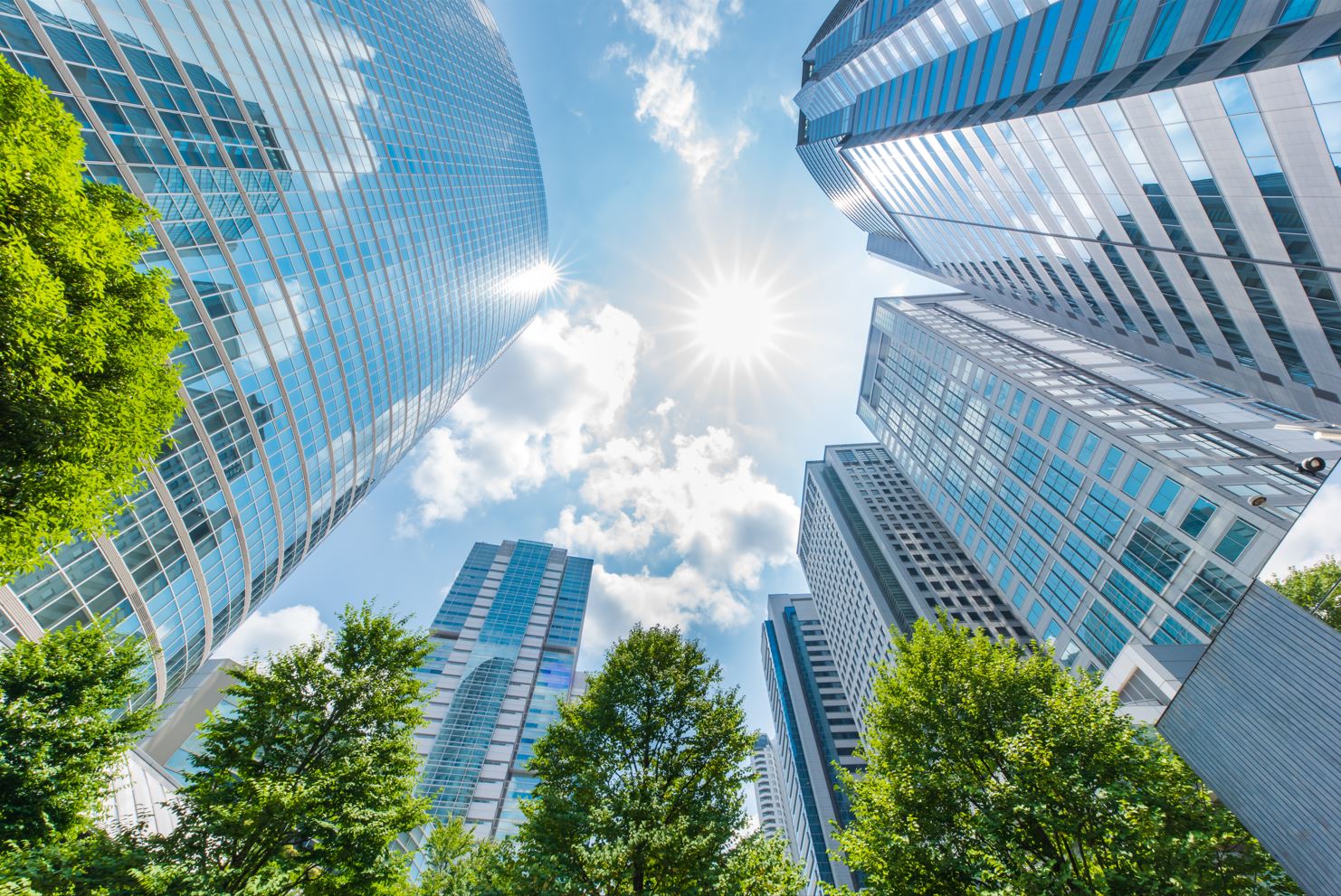 Buildings in the sun