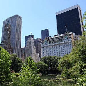 Buildings in distance