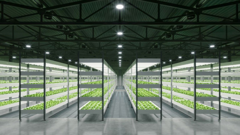 indoor-ag_medium-16-9.jfif