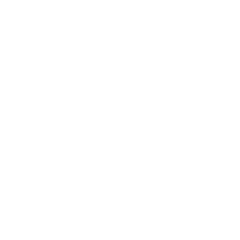 Replace public sector revenue loss due to the pandemic